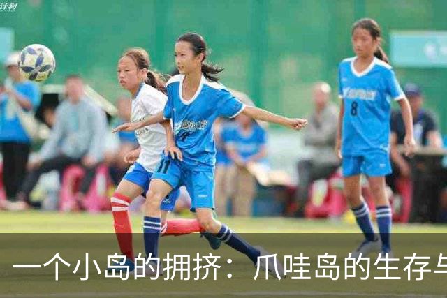 一个小岛的拥挤：爪哇岛的生存与挑战